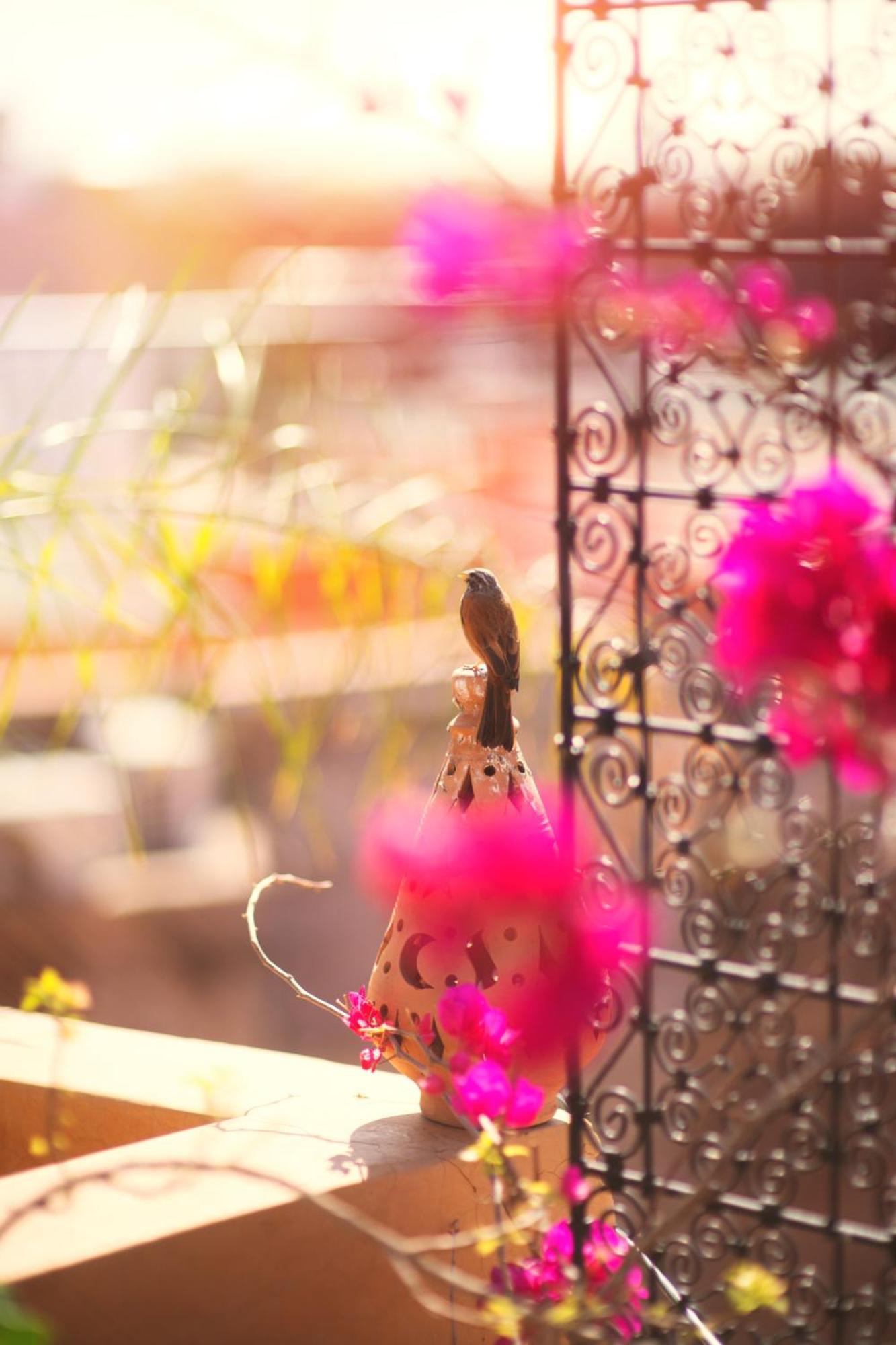 Riad Persephone Hotel Marrakesh Exterior photo